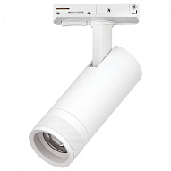 Светильник на штанге Lightstar Canno Pro C4126SS 500_191_3077721